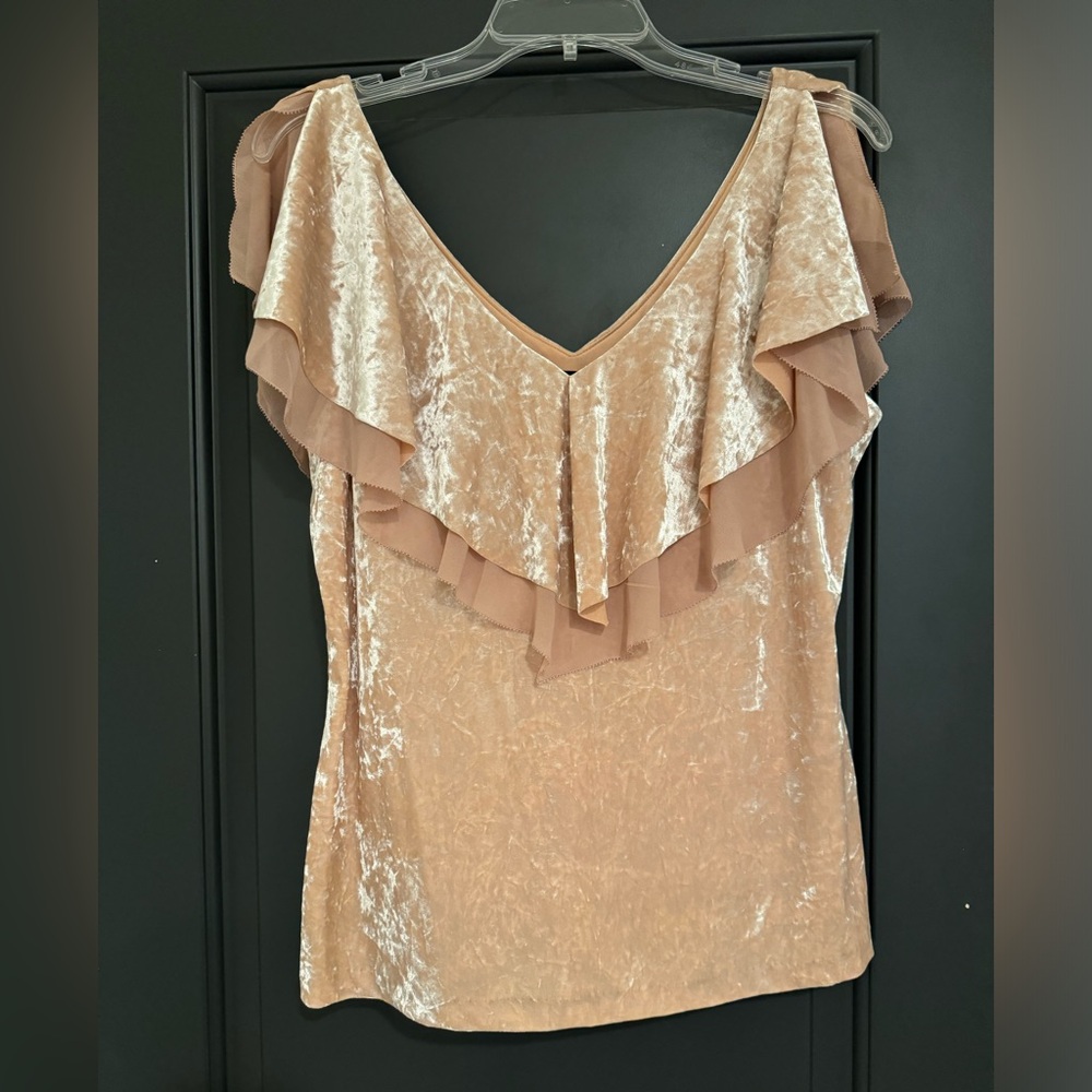 WHBM cream shimmer stretch velvet top with chiffon ruffle - never worn